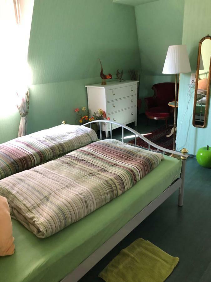 Ferienwohnung Meintzinger Фріккенгаузен-ам-Майн Екстер'єр фото